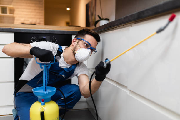 Best Residential Pest Control  in Brandywine, MD