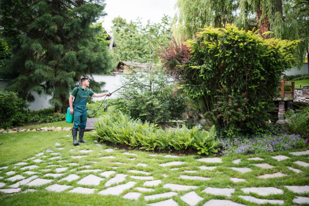 Best Emergency Pest Control  in Brandywine, MD