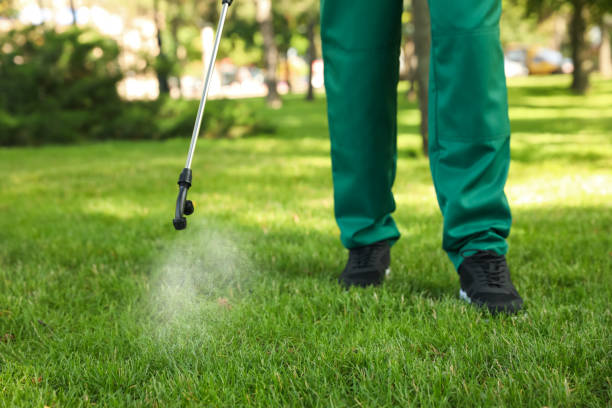 Best Wasp Removal Services  in Brandywine, MD