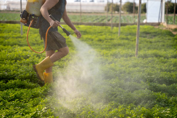 Best Pest Control for Businesses  in Brandywine, MD