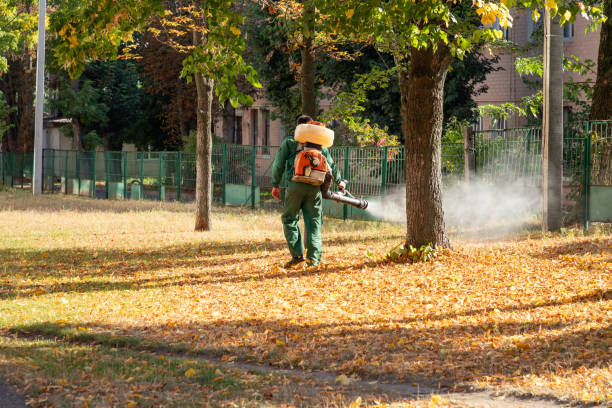Best Pest Inspection Near Me  in Brandywine, MD