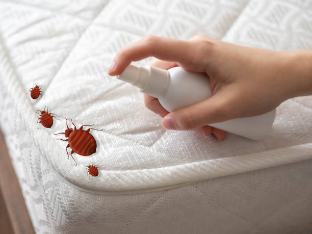 Best Exterminator Services  in Brandywine, MD