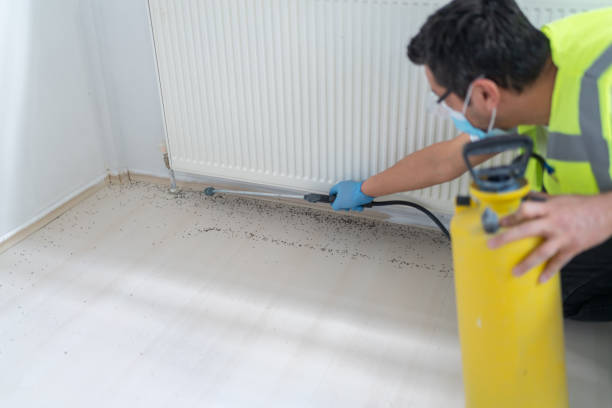 Best Commercial Pest Control Services  in Brandywine, MD