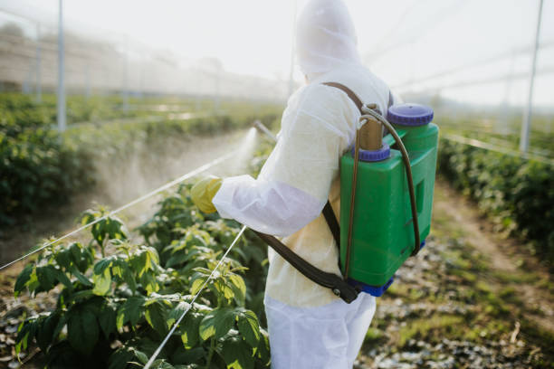 Best Pest Removal Services  in Brandywine, MD